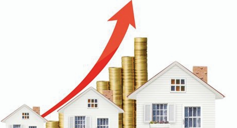 Investment & Advisory